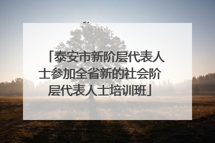 泰安市新阶层代表人士参加全省新的社会阶层代表人士培训班