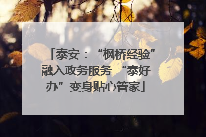 泰安：“枫桥经验”融入政务服务 “泰好办”变身贴心管家