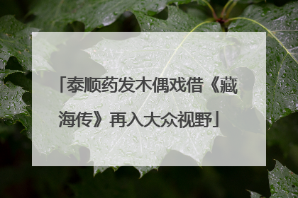 泰顺药发木偶戏借《藏海传》再入大众视野