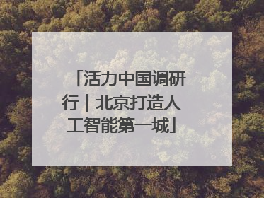 活力中国调研行｜北京打造人工智能第一城
