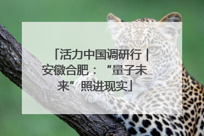 活力中国调研行｜安徽合肥：“量子未来”照进现实