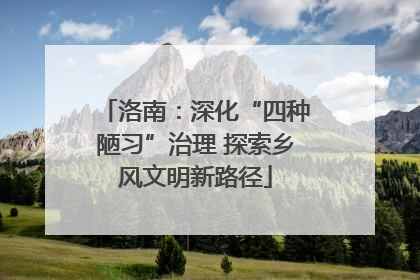 洛南：深化“四种陋习”治理 探索乡风文明新路径