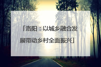 洛阳：以城乡融合发展带动乡村全面振兴