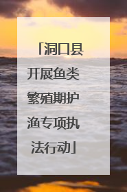 洞口县开展鱼类繁殖期护渔专项执法行动