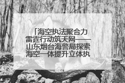 海空执法聚合力 雷霆行动筑天网——山东烟台海警局探索海空一体提升立体执法效能纪实