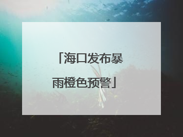 海口发布暴雨橙色预警