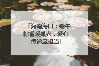 海南海口：端午粽香暖孤老，爱心传递显担当