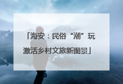 海安：民俗“潮”玩激活乡村文旅新图景