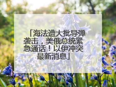 海法遭大批导弹袭击，美俄总统紧急通话！以伊冲突最新消息