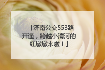济南公交553路开通，跨越小清河的红墩墩来啦！