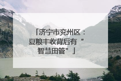 济宁市兖州区：夏粮丰收背后有“智慧田管”