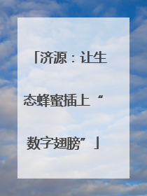 济源：让生态蜂蜜插上“数字翅膀”