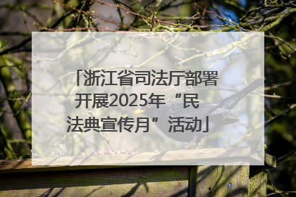 浙江省司法厅部署开展2025年“民法典宣传月”活动
