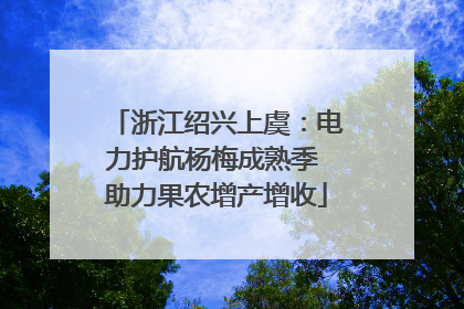 浙江绍兴上虞：电力护航杨梅成熟季 助力果农增产增收