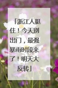浙江人挺住！今天别出门，最强暴雨时段来了！明天大反转