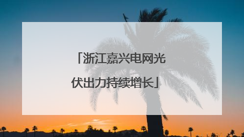 浙江嘉兴电网光伏出力持续增长