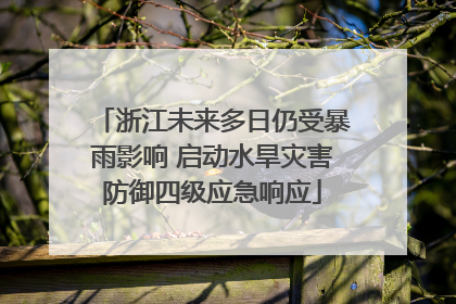 浙江未来多日仍受暴雨影响 启动水旱灾害防御四级应急响应