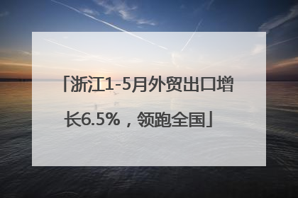 浙江1-5月外贸出口增长6.5%，领跑全国
