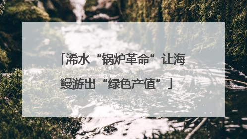 浠水“锅炉革命”让海鳗游出“绿色产值”