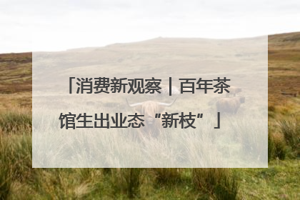 消费新观察｜百年茶馆生出业态“新枝”