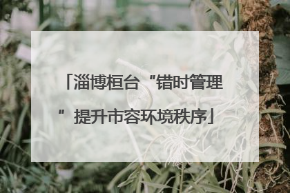 淄博桓台“错时管理”提升市容环境秩序