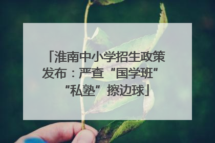 淮南中小学招生政策发布：严查“国学班”“私塾”擦边球