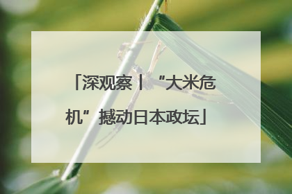 深观察丨“大米危机”撼动日本政坛