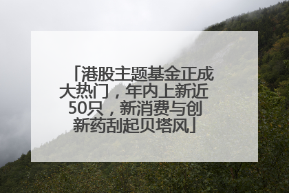 港股主题基金正成大热门，年内上新近50只，新消费与创新药刮起贝塔风