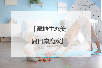 湿地生态美 夏日麋鹿欢
