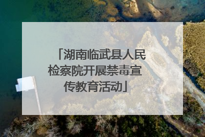 湖南临武县人民检察院开展禁毒宣传教育活动
