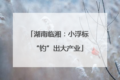 湖南临湘：小浮标“钓”出大产业