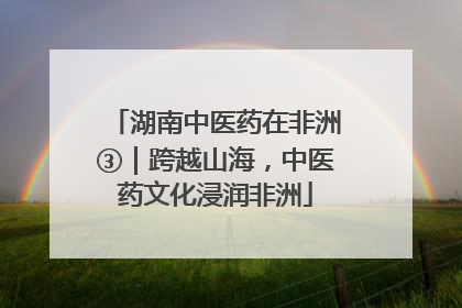 湖南中医药在非洲③｜跨越山海，中医药文化浸润非洲