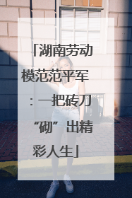 湖南劳动模范范平军：一把砖刀“砌”出精彩人生