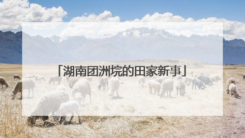 湖南团洲垸的田家新事