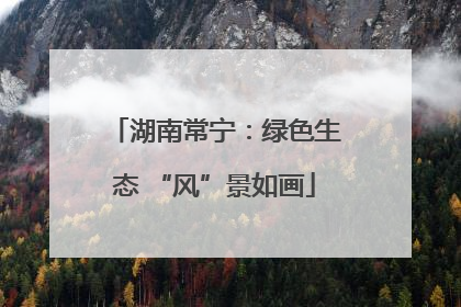 湖南常宁：绿色生态 “风”景如画