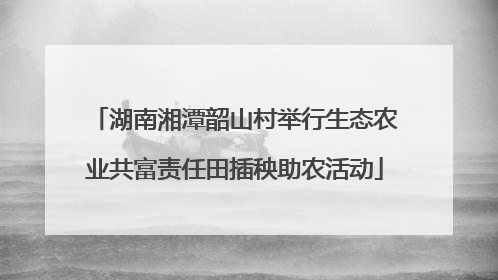 湖南湘潭韶山村举行生态农业共富责任田插秧助农活动