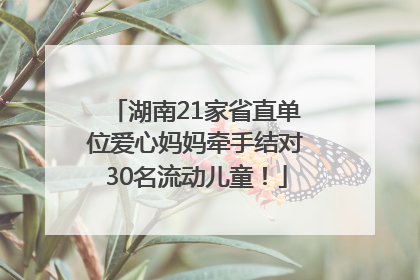 湖南21家省直单位爱心妈妈牵手结对30名流动儿童！
