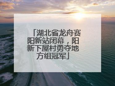 湖北省龙舟赛阳新站闭幕，阳新下屋村勇夺地方组冠军