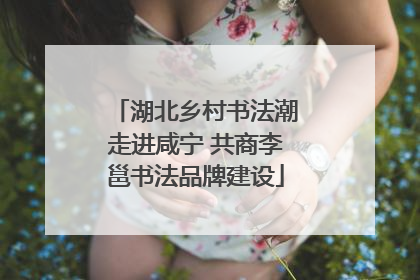 湖北乡村书法潮走进咸宁 共商李邕书法品牌建设