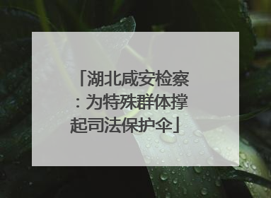 湖北咸安检察：为特殊群体撑起司法保护伞