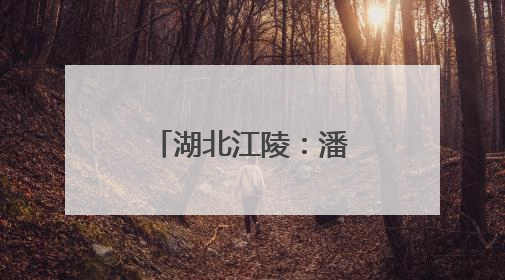 湖北江陵：潘市村的香瓜为何这么甜？