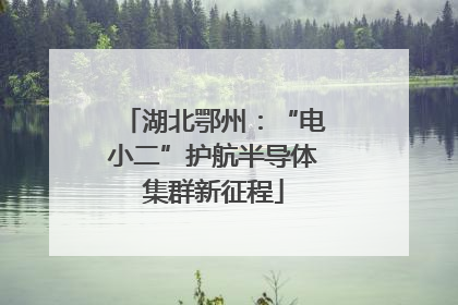 湖北鄂州：“电小二”护航半导体集群新征程
