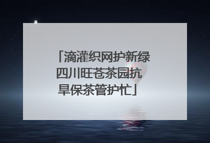 滴灌织网护新绿 四川旺苍茶园抗旱保茶管护忙