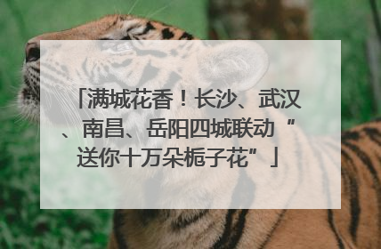 满城花香！长沙、武汉、南昌、岳阳四城联动“送你十万朵栀子花”