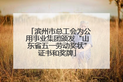 滨州市总工会为公用事业集团颁发“山东省五一劳动奖状”证书和奖牌