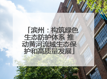 滨州：构筑绿色生态防护体系 推动黄河流域生态保护和高质量发展