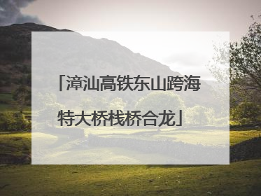 漳汕高铁东山跨海特大桥栈桥合龙