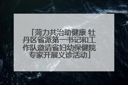 菏力共治助健康 牡丹区省派第一书记和工作队邀请省妇幼保健院专家开展义诊活动