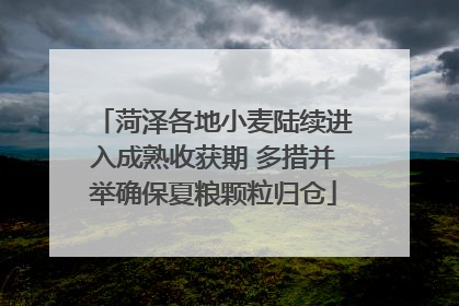 菏泽各地小麦陆续进入成熟收获期 多措并举确保夏粮颗粒归仓