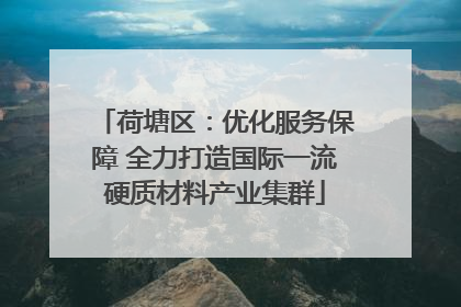 荷塘区：优化服务保障 全力打造国际一流硬质材料产业集群